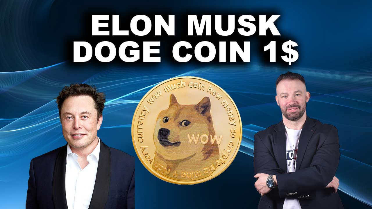 ELONMUSK-DOGEOCOIN-12